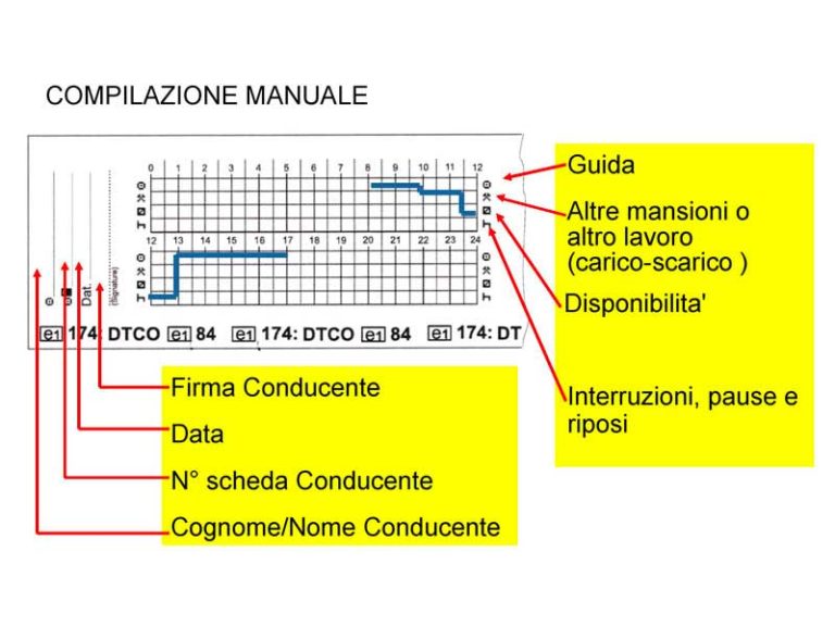 Rulli Tachigrafo Digitale Rotoli Tachigrafo Rotoli Stampante Tachigrafica 225258651396 - Foto 10