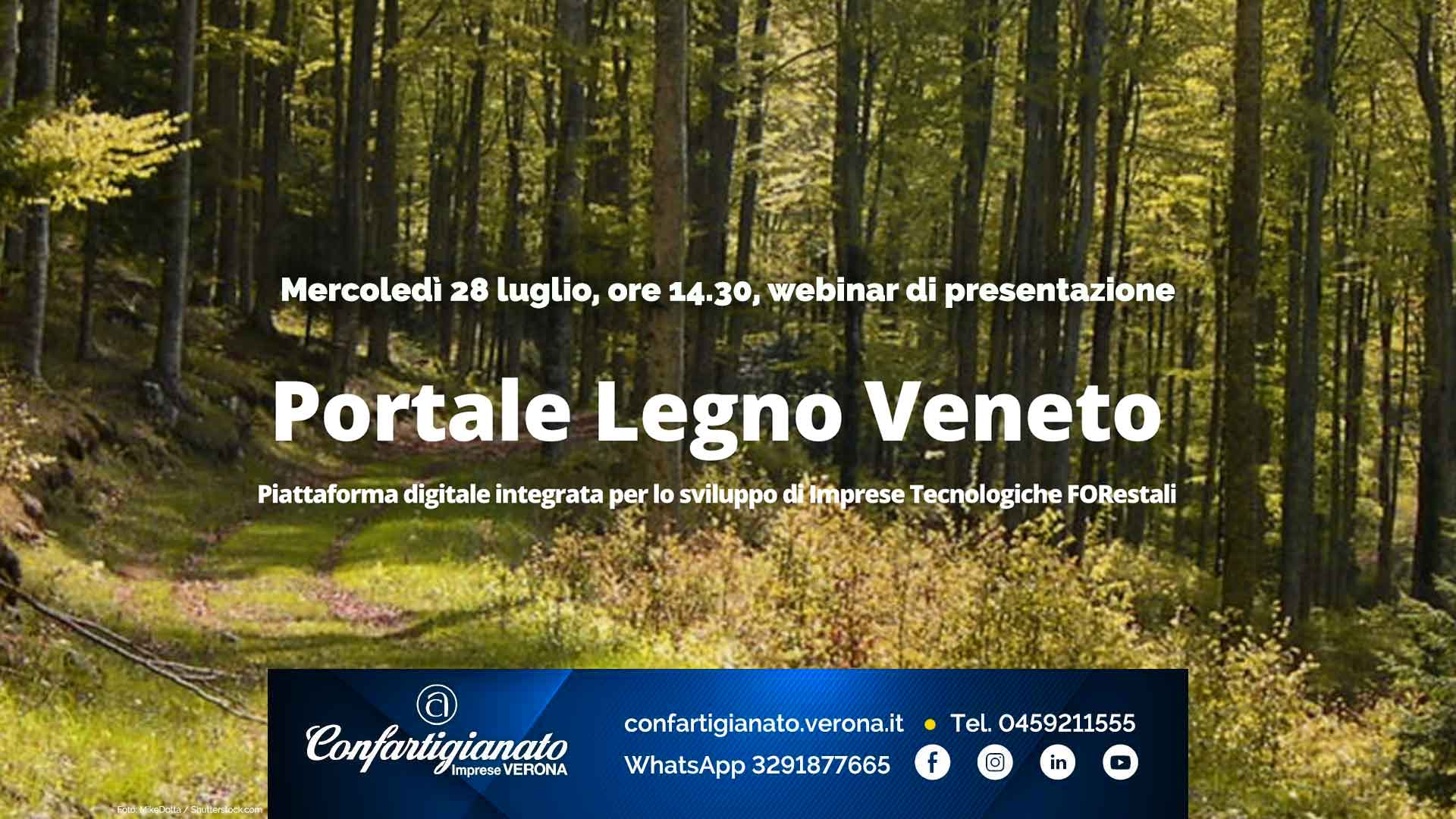 LEGNO ARREDO – Presentazione del Portale Legno Veneto: mercoledì 28 luglio in videoconferenza