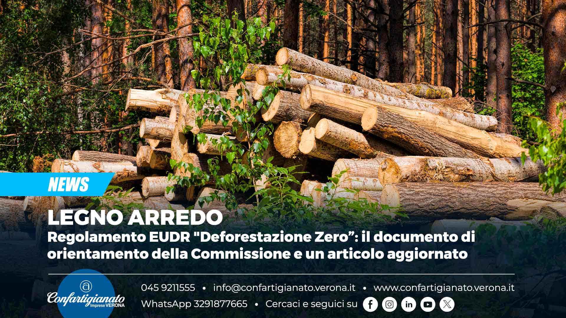 LEGNO ARREDO – Regolamento EUDR "Deforestazione Zero”: il documento di orientamento della Commissione e un articolo aggiornato